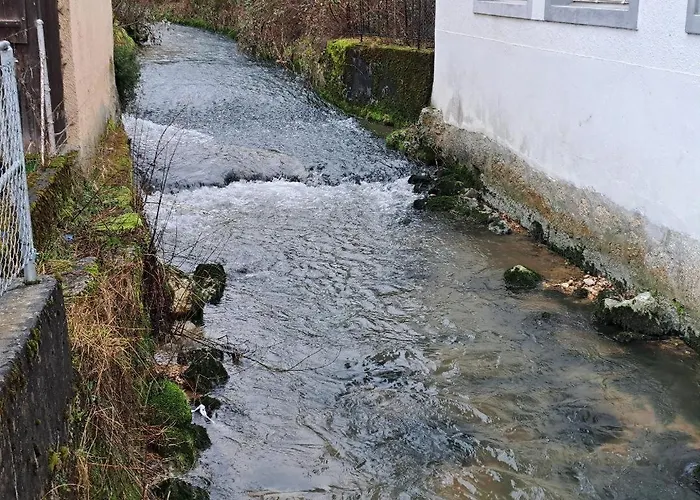 Chez Ninfa