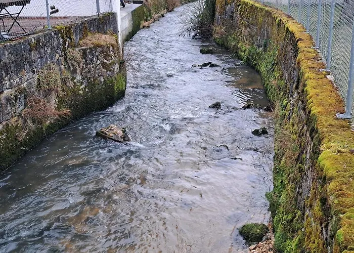 Chez Ninfa